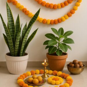 rakhi5
